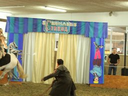 IMG_5164_web